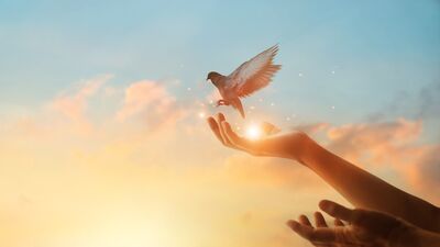 Dualarına cevap mı bekliyorsun?