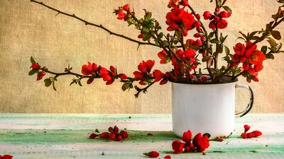 Hayatın bitter tarafı