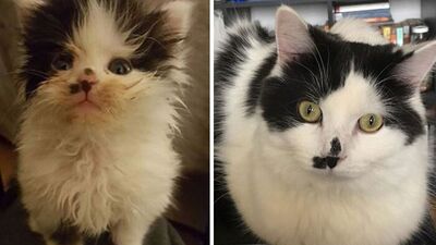 Kalpleri ısıtan fotoğraflar