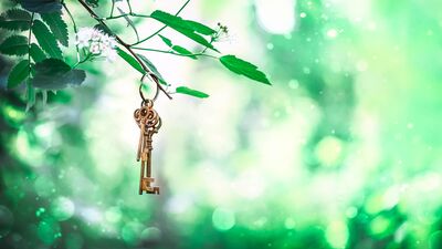 Kendine sığındın mı?