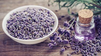 Kaygıya birebir: Lavanta yağı