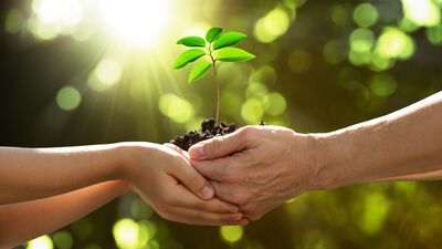 Bahara yaklaşırken: Şimdi hepimizin zamanı