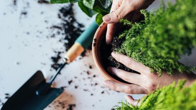 Antidepresan niyetine ellerinizi toprağa daldırın