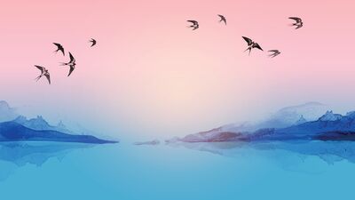 Kırlangıçlar gibi