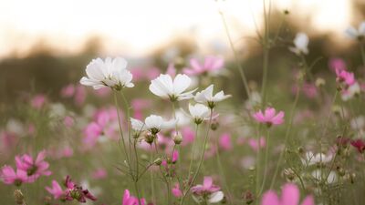 Dinlediğinizde size umut verecek şarkılar