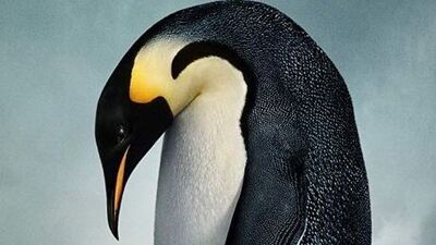 Çocuklarla birlikte izlenebilecek 14 belgesel