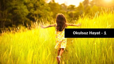 Okulsuzluk fikrine giriş