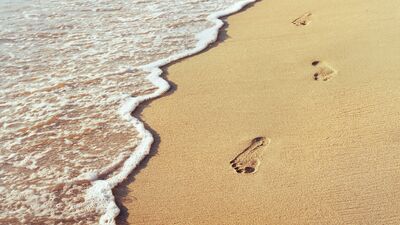 Yarına kim kalacak?