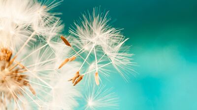 Özür dilemenize gerek olmayan 8 durum