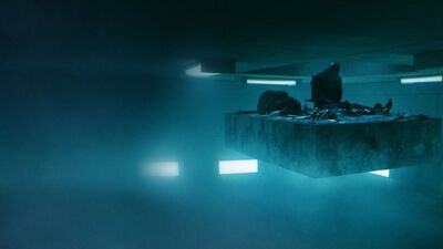 Hayat dikey bir platforma sığar mı?