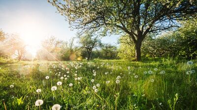 Nisan ayı doğa takvimi