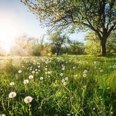 Nisan ayı doğa takvimi