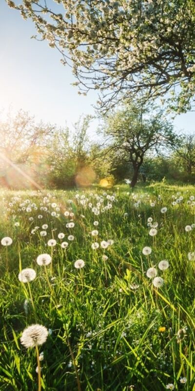 Nisan ayı doğa takvimi