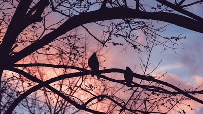 Mutsuz çiftler neden ayrılmazlar?