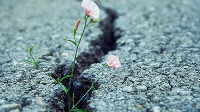 Ruhsal olarak dayanıklı insanların 10 özelliği