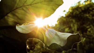 Ruhsal olarak dayanıklı insanların 10 özelliği