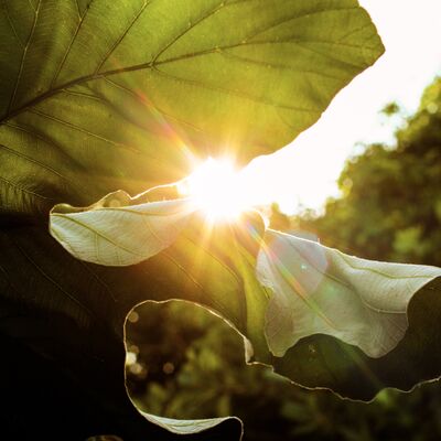 Ruhsal olarak dayanıklı insanların 10 özelliği