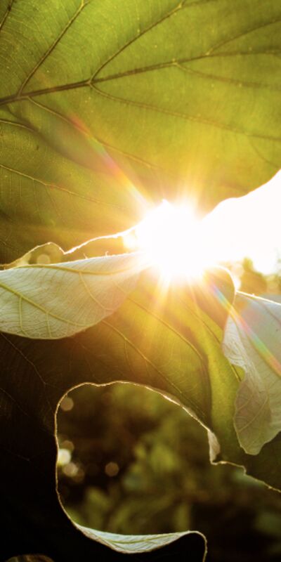 Ruhsal olarak dayanıklı insanların 10 özelliği