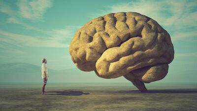 Komplo teorileri beynimizi 'bir acayip' etkiliyor