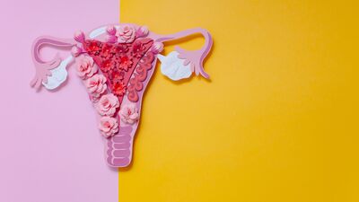 Yumurta hücresi ile ilgili bilmeniz geren 5 şey