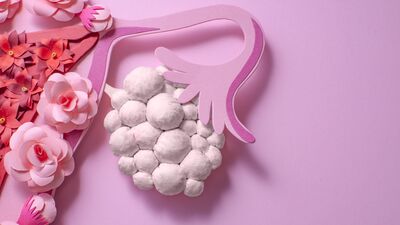 Yumurta kalitesini artırmak mümkün mü?