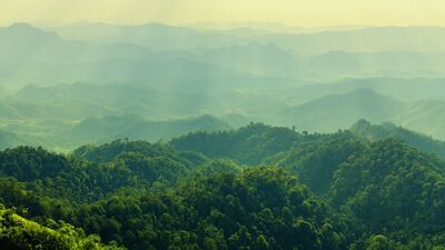 Zihinsel detoks için atmanız gereken 5 adım