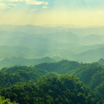 Zihinsel detoks için atmanız gereken 5 adım