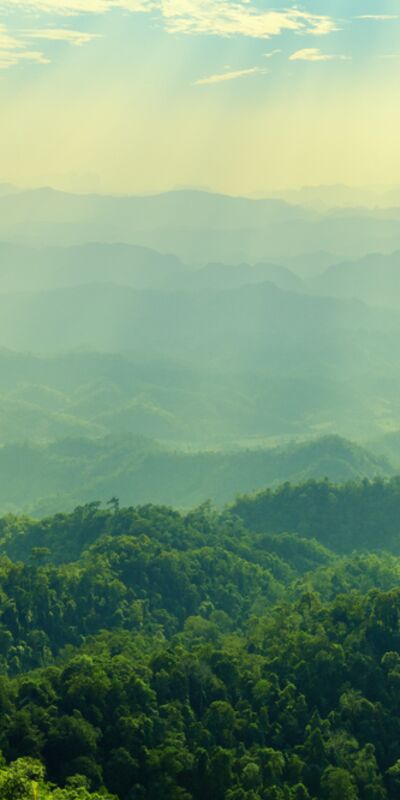 Zihinsel detoks için atmanız gereken 5 adım