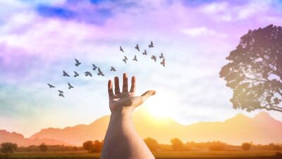 Bugün öğrendim...