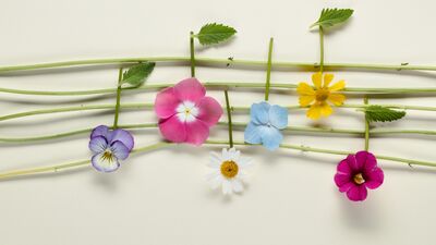 Kendi müziğinizi yapabileceğiniz uygulamalar