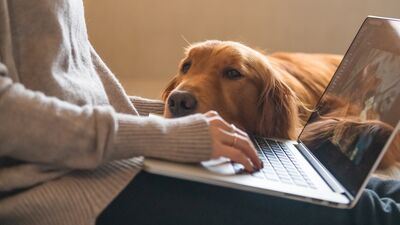 "Başladığım işi bitiremiyorum" diyenlere öneriler