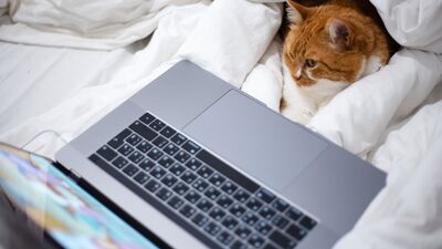 Yalnız kalabilmek için odaya kapanıyorum