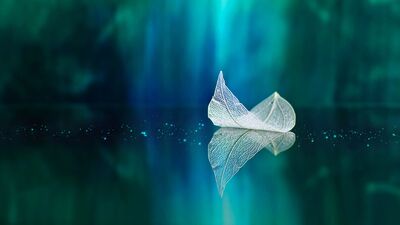 Toplumsal rollerimiz içindeki "biz"