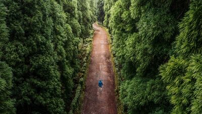 Pazar meditasyonu: Yürüyüş