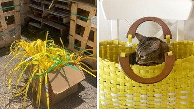 Ucuz ve basit çevre dostu fikirler