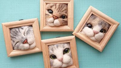 En şirin 30 kedi çerçevesi