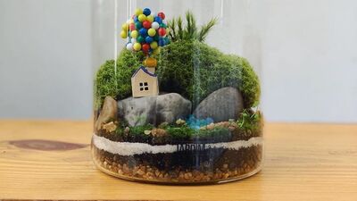 Bitkiseverler için küçük dünyalar