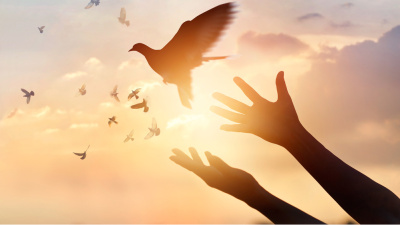 Frekansınızı yükseltecek 14 yöntem 