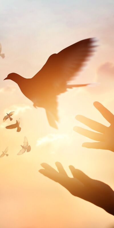 Frekansınızı yükseltecek 14 yöntem