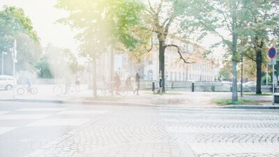 Şehirler, vasat hayatımız ve küçük şeyler