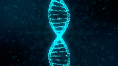 Embriyo kromozomundaki saklı bilgi