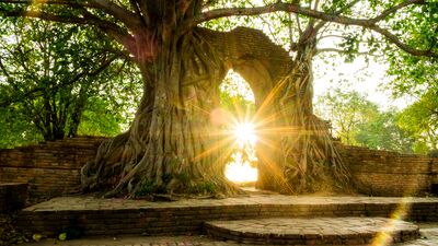 Derin bir yara iziniz varsa, o bir kapıdır...