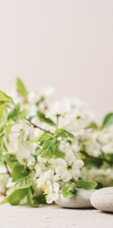 Cildin gençlik sırrı: Hyalüronik Asit