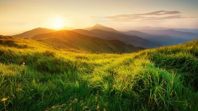 Yanılgılarımız ve dünya