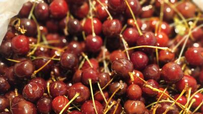 Güneşte 40 gün pişen vişne şurubu