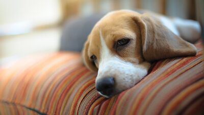 Kendimizi affetmenin 3 adımı