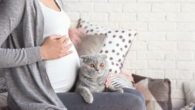 Hamilelikte evcil hayvan beslemek hakkında merak ettiğiniz her şey
