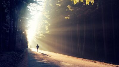 Gölge ve ışığın dansı