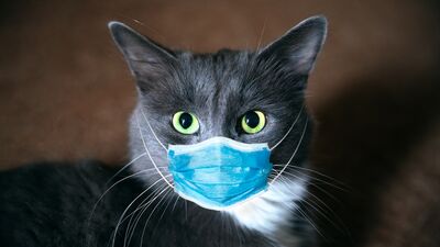 Sosyal mesafeyi neden unutuyoruz?