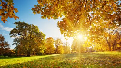 Eylül temalı sonbahar şarkıları